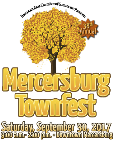 mercersburgtownfest2017